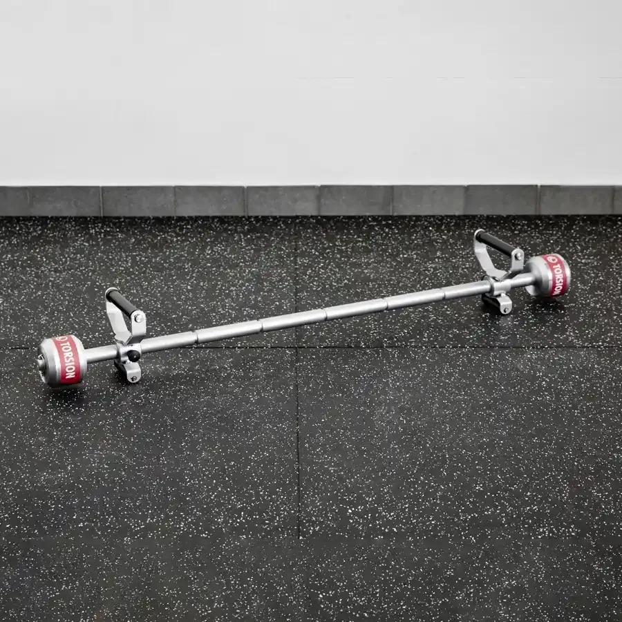 Torsion
